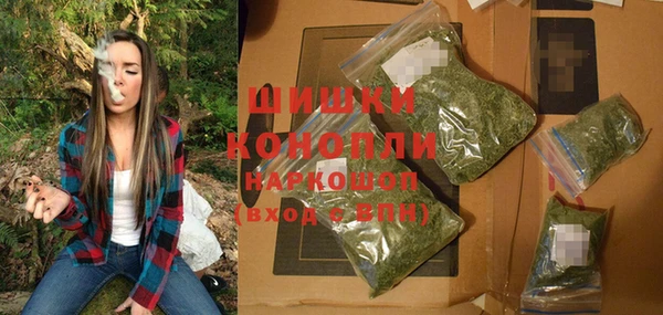 ГАЛЛЮЦИНОГЕННЫЕ ГРИБЫ Каменка
